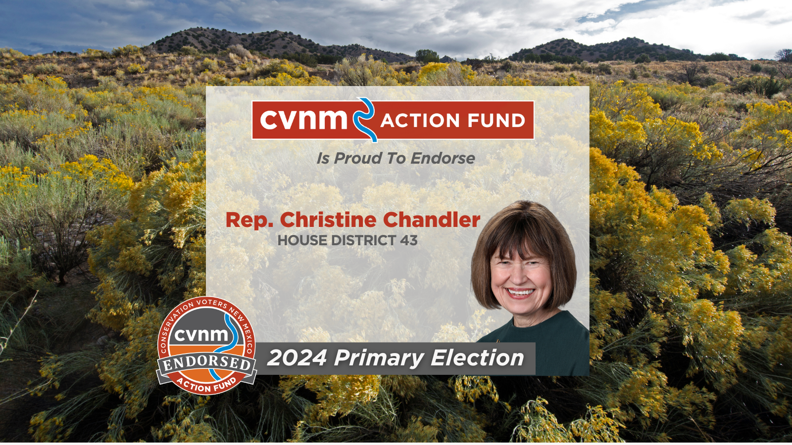 Rep. Christine Chandler